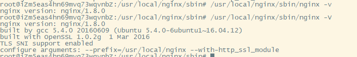 nginx 条件 nginx sbin_nginx_02