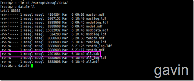 centos DD备份 centos 备份及恢复_sqlserver_04