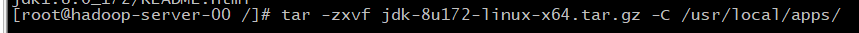 centos 配置hadoop环境变量 配置hadoop的环境变量_大数据_08