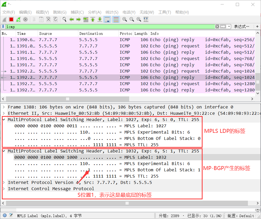 ospf 3类lsa抓包 mpls抓包_VPN_02