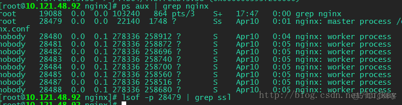 nginx 默认openssl 版本 nginx编译openssl_nginx_02