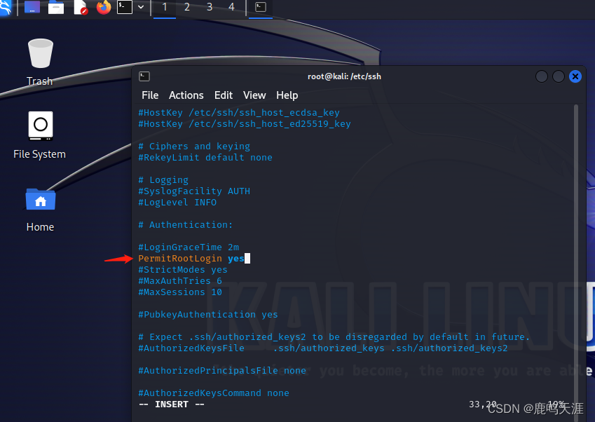 Kali Linux 安装 + 获取 root 权限 + 远程访问_linux_11