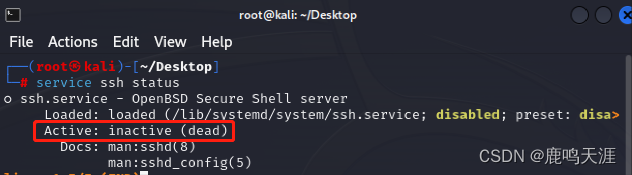 Kali Linux 安装 + 获取 root 权限 + 远程访问_Kali_12