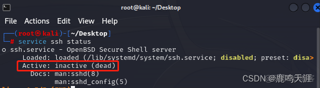 Kali Linux 安装 + 获取 root 权限 + 远程访问_Kali_12