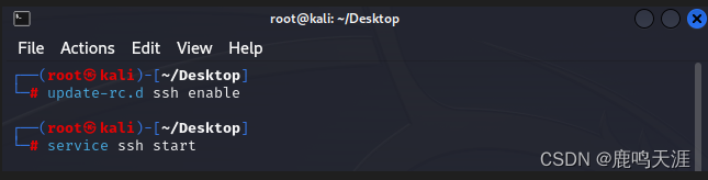 Kali Linux 安装 + 获取 root 权限 + 远程访问_运维_13