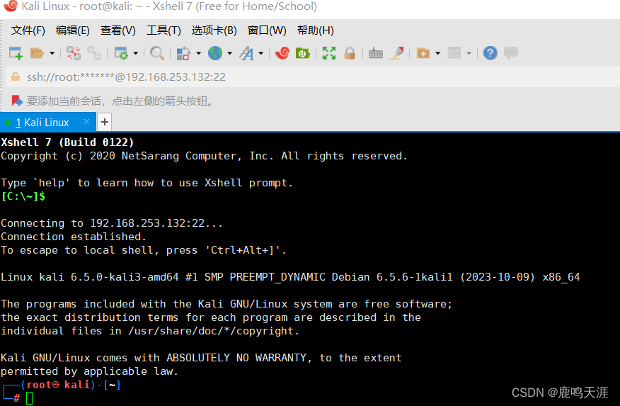 Kali Linux 安装 + 获取 root 权限 + 远程访问_linux_16