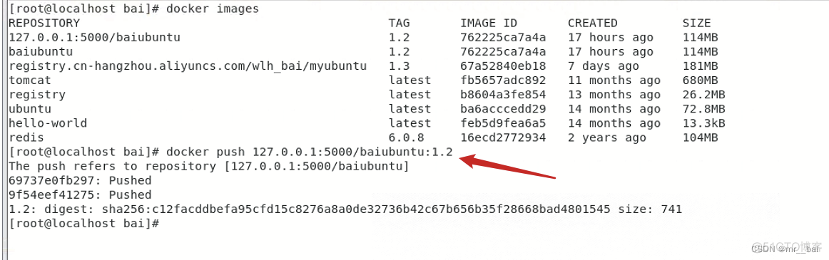 将本地的nacos打包为docker镜像 docker镜像打包下载到本地_ubuntu_11