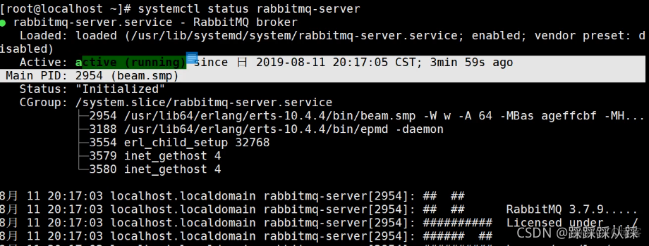 rabbitMQ spring cloud版本 rabbitmq 客户端工具_持久化_06