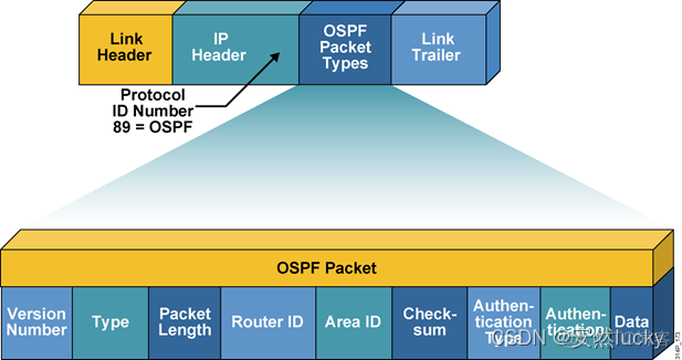 ospf协议优点和缺点 ospf协议好处_OSPF_02