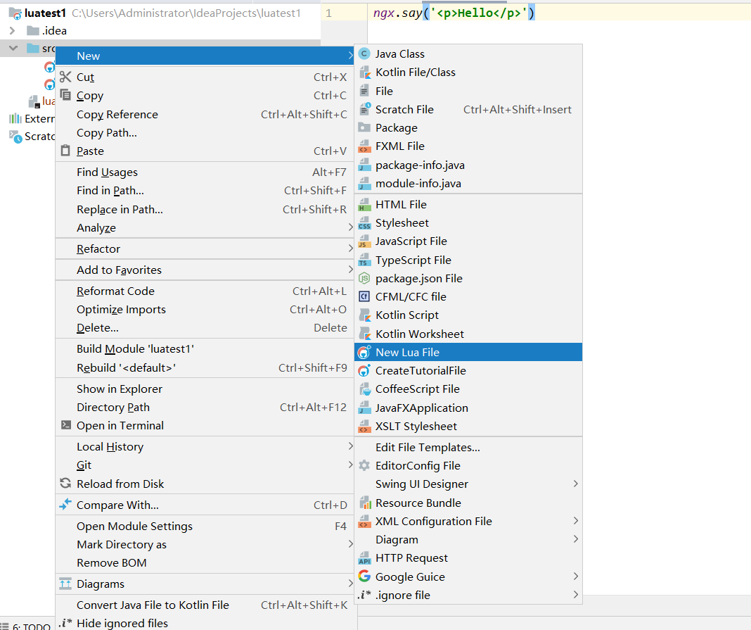 lua nginx 设置响应头 nginx lua教程_nginx_03