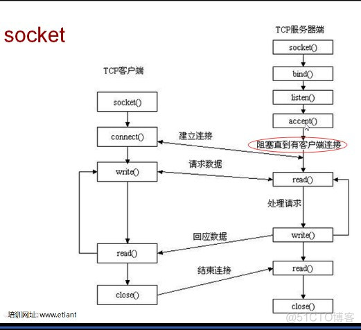 python socket关闭端口 python socket setsockopt_套接字_03