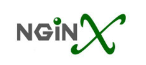 nginx监控模块 nginx 监控_html