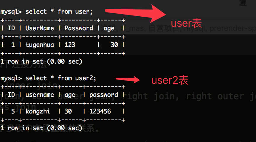 mysql 默认两个表查询结果集是什么 mysql两个表联合查询_字段