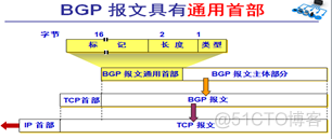 bgp只能路由器建立吗 bgp是外部路由协议吗_TCP_05