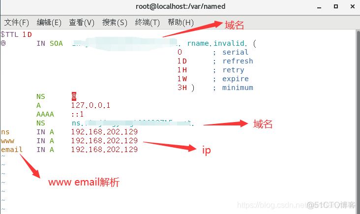 centos7搭建dns缓存 centos7配置dns解析_web服务器_02