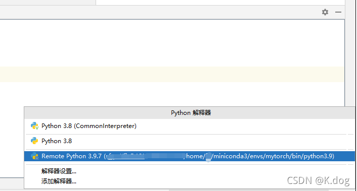 python远程调试 pycharm pycharm设置远程调试_python远程调试 pycharm_12