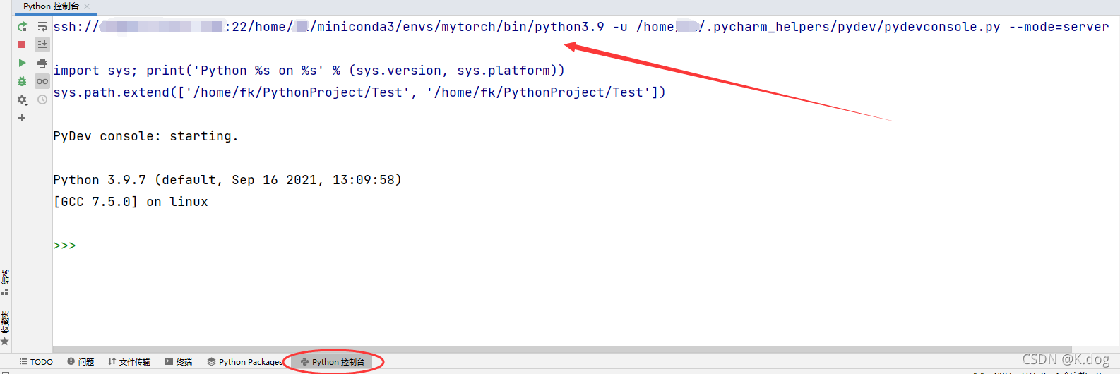 python远程调试 pycharm pycharm设置远程调试_ssh_15