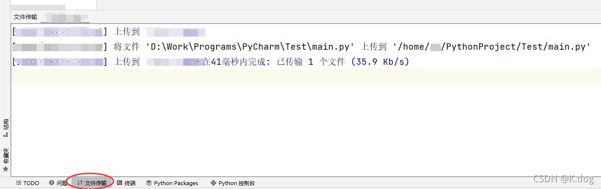 python远程调试 pycharm pycharm设置远程调试_pycharm_16