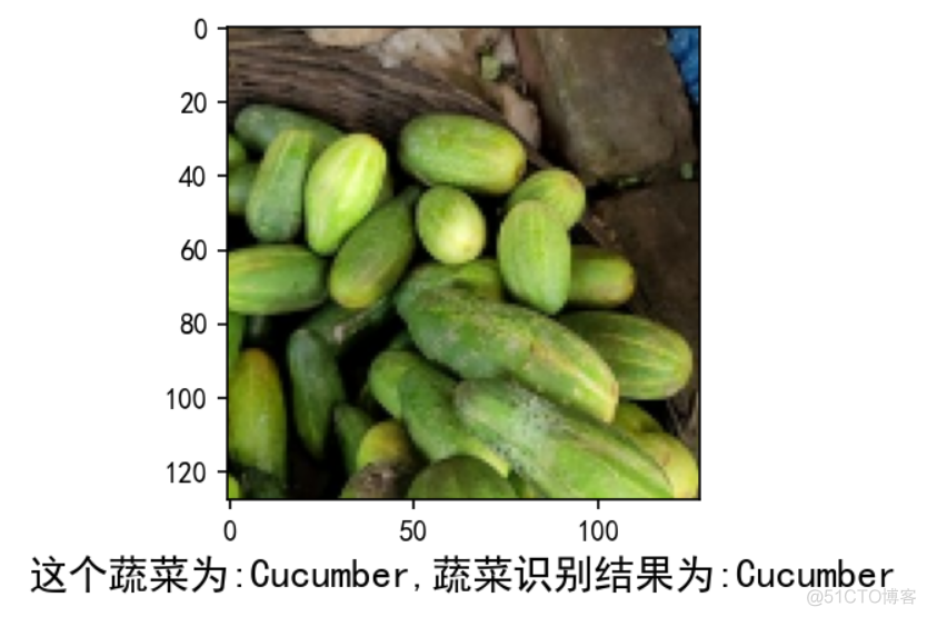 opencv蔬菜识别与分类 在线识别蔬菜_数据集_13