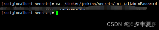 Jenkinsfile怎么配置docker镜像仓库 jenkins docker构建镜像发布_jar_11