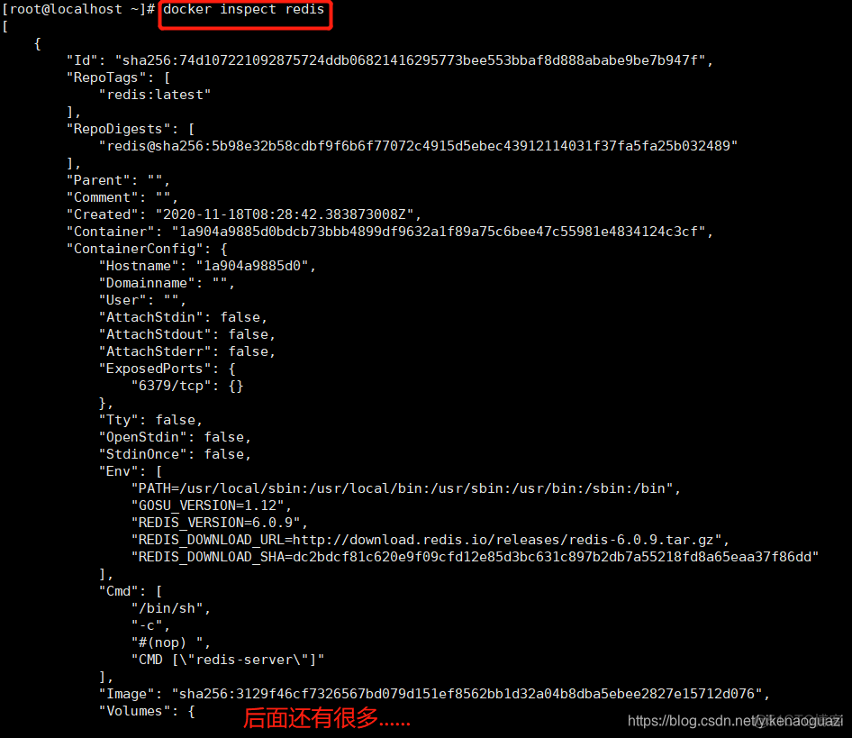 docker inspect后面跟容器id docker inspect 详解_nginx_02