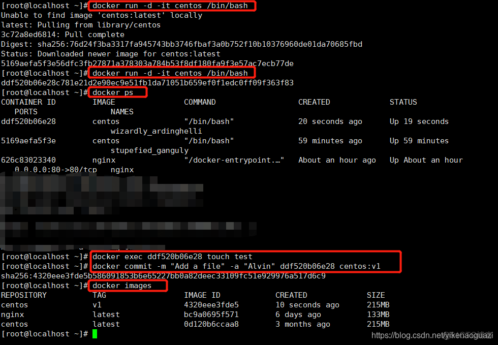 docker inspect后面跟容器id docker inspect 详解_nginx_04