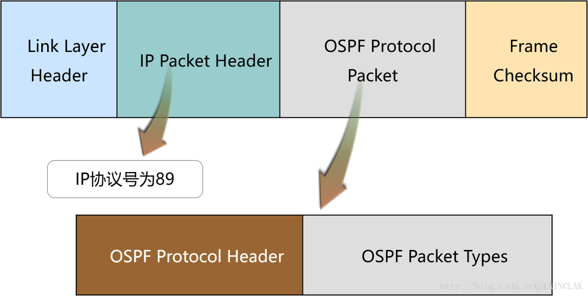 ospf router id怎么配置 ospf的router id用处_ospf router id怎么配置_02