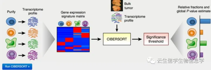 Zabbix可视化 cibersort可视化_数据集_02