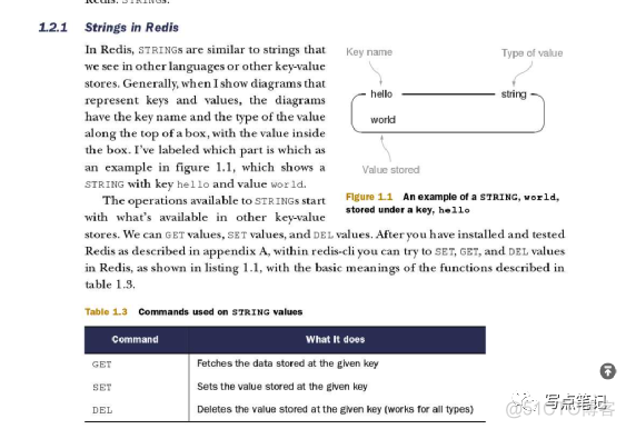 redis sorted set 与list区别 redis list zset区别_redis_02