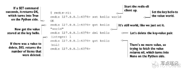 redis sorted set 与list区别 redis list zset区别_数据库_03