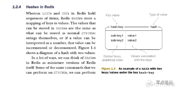 redis sorted set 与list区别 redis list zset区别_数据库_08