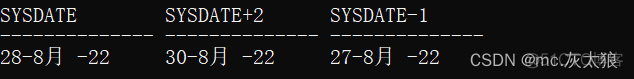 postgres sql 转大写 sql转换大写函数_字符串_06