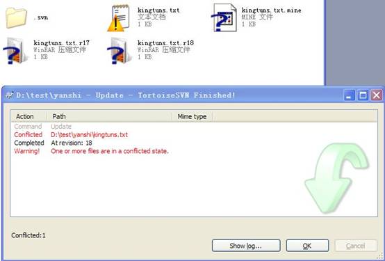 tortoisesvn分支合并冲突解决 svn版本合并冲突解决_冲突解决_07