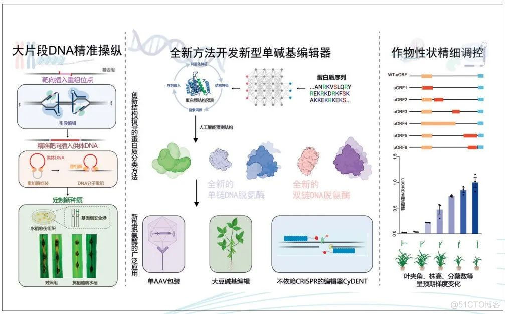 2023年度中国科学十大进展发布_微信_10