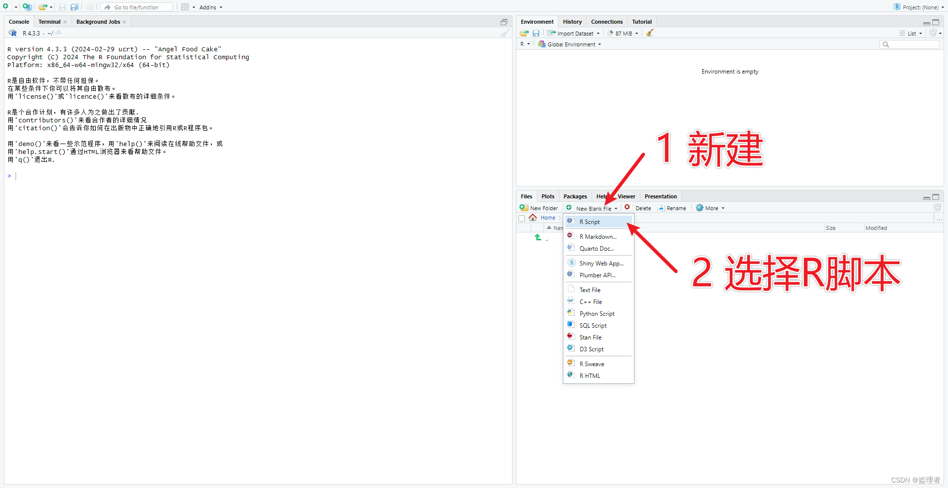 R语言安装IDE工具，RStudio 安装_r语言_06