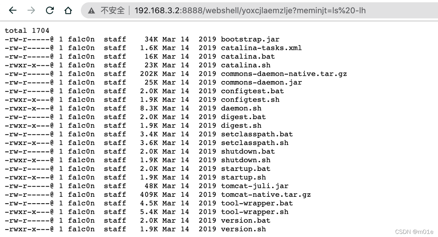 java 内存镜像 如何打开 java内存马_自定义_05