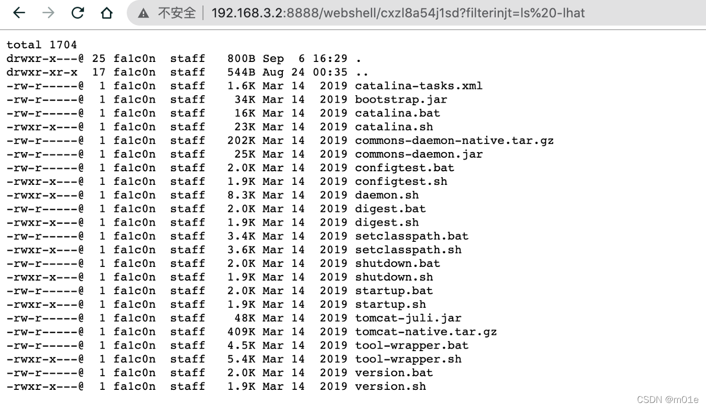 java 内存镜像 如何打开 java内存马_java_19