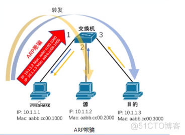 Wireshark 抓安卓 wireshark抓包手机app_数据_04