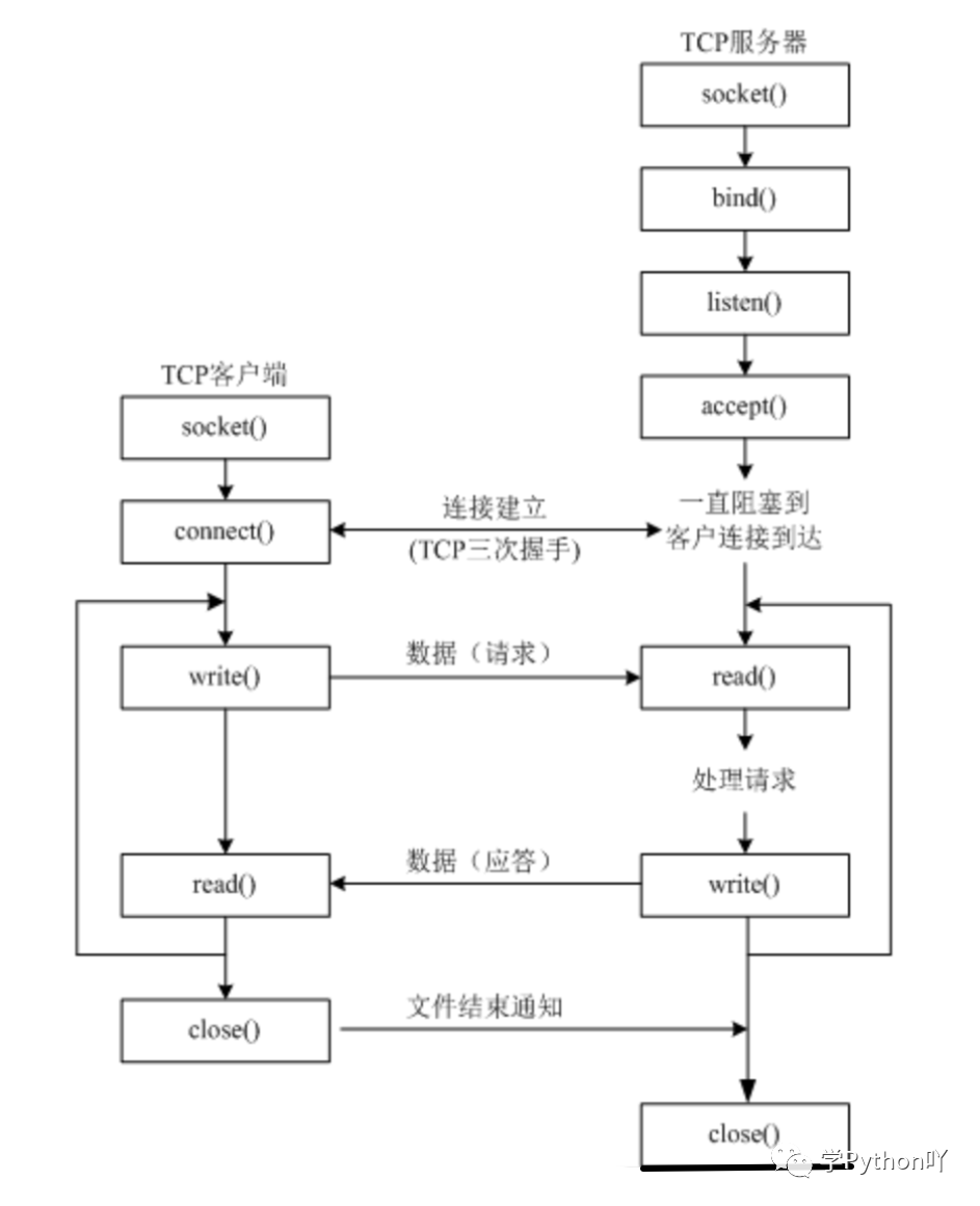 python 获取tcp协议包 python解析tcp协议_udp