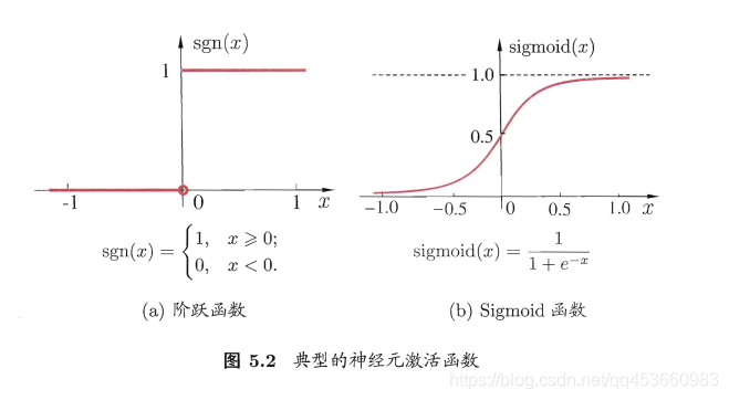 神经元与神经网络 神经元网络学说_神经网络_03