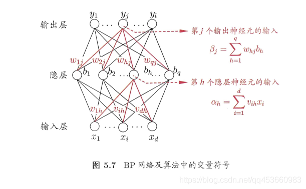 神经元与神经网络 神经元网络学说_权重_14