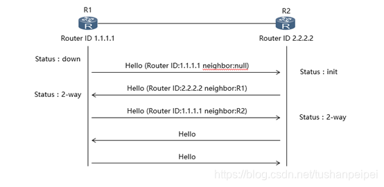 ospf建邻居的条件 ospf的邻居建立过程_序列号