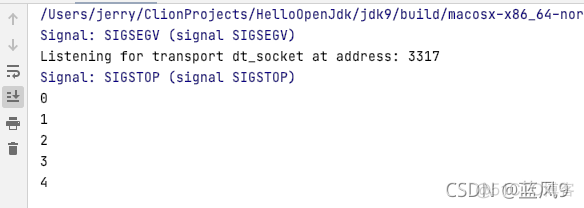 46 调试启动 suspend=y 的情况下, jps 得到 -- main class information unavailable_jvm_06