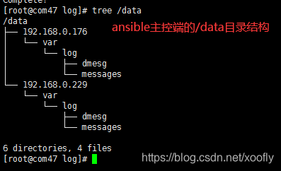 ansible 命令行拷贝远程文件到本地 ansible复制文件夹_客户端_18