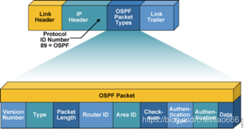 OSPF 的概念和配置考试 ospf的概念和作用_OSPF 的概念和配置考试