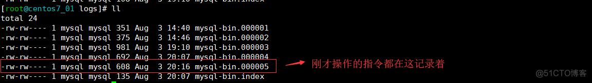 mysql 将备份数据还原 mysql 备份与还原_运维_05