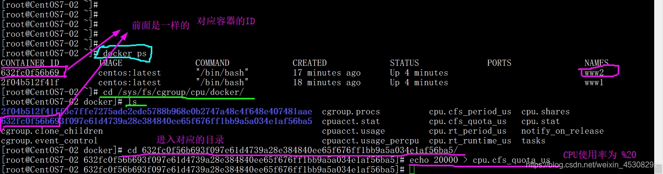 容器怎么安装yum 容器里面怎么安装软件_centos_13