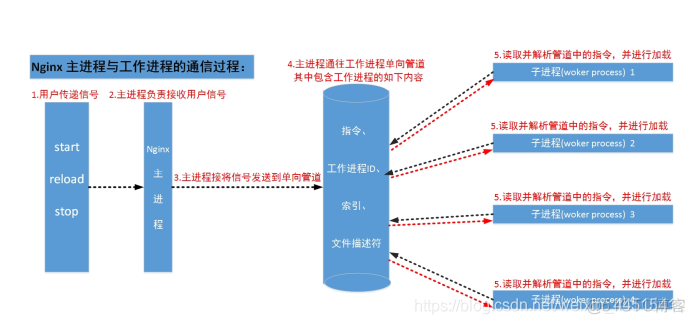 presto客户端运行脚本 prek服务端_nginx_05