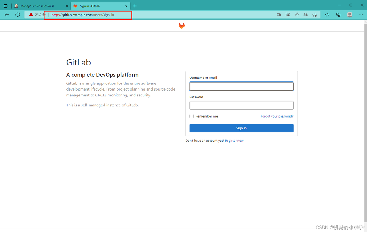 搭建汉化版GitLab gitlab 搭建_linux_02