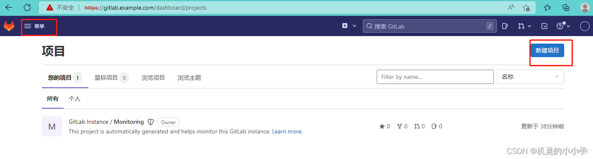 搭建汉化版GitLab gitlab 搭建_搭建汉化版GitLab_05